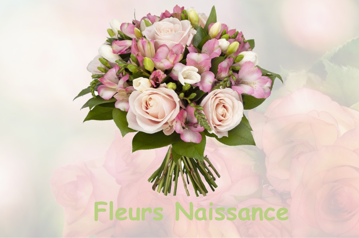 fleurs naissance MOLLEGES