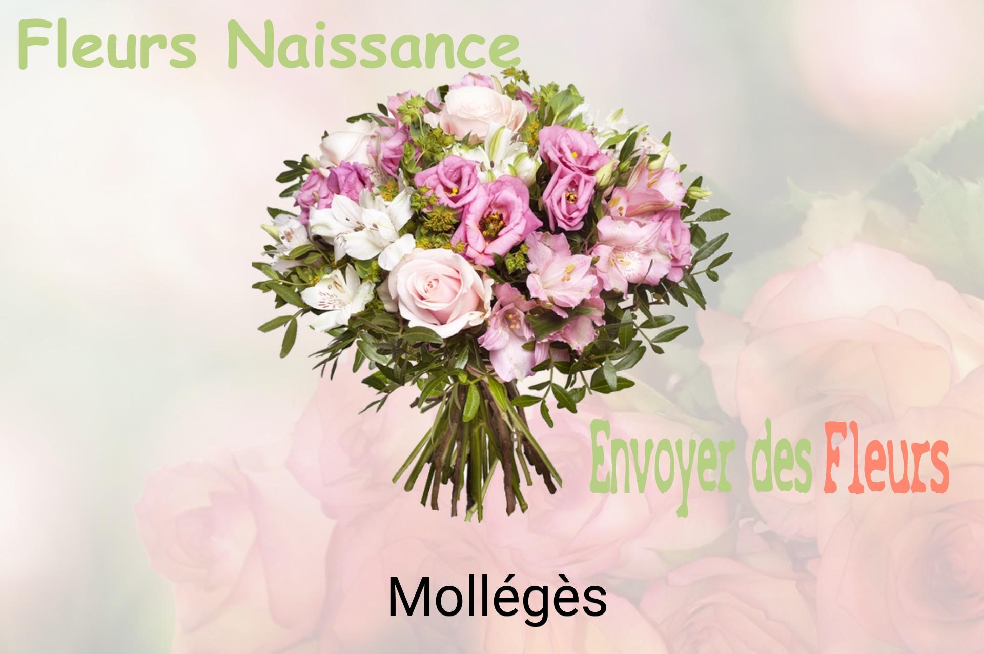Bouquet de fleurs de naissance livré à Mollégès