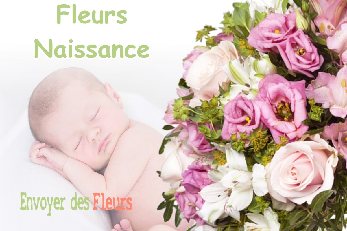 lIVRAISON FLEURS NAISSANCE à MOLLEGES