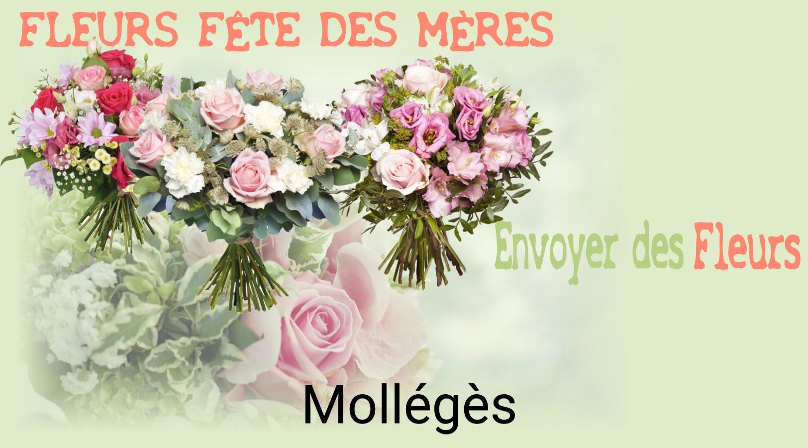 Bouquet de Fête des Mères livré à Mollégès